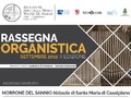 Rassegna Organistica settembre 2019 - II edizione Immagine 1